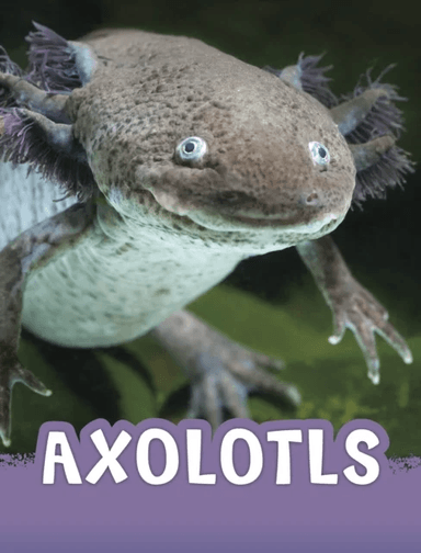 Axolotls av Jaclyn Jaycox
