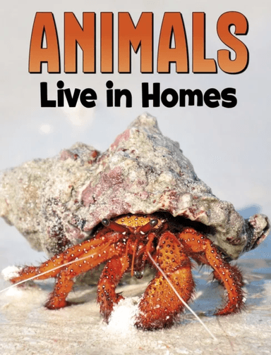 Animals Live in Homes av Nadia Ali
