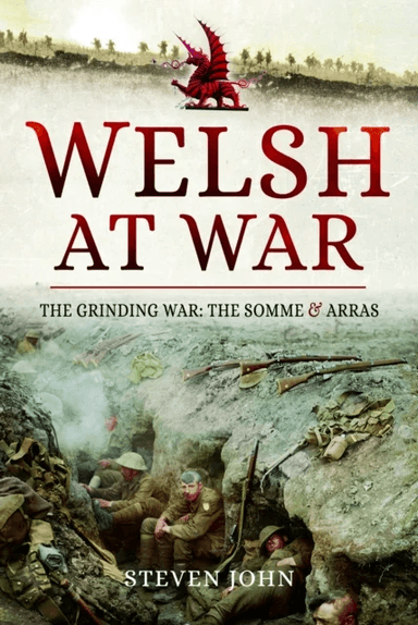 The Welsh at War av Steven John