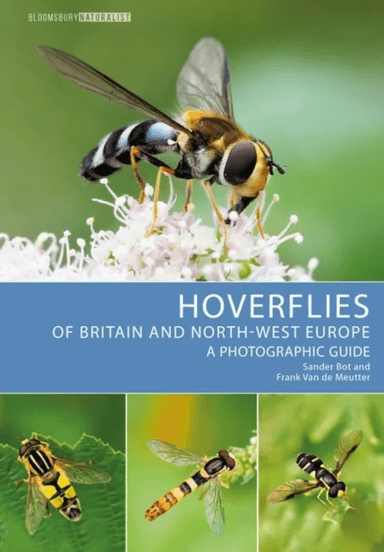 Hoverflies of Britain and North-west Europe av Sander Bot, Frank Van de Meutter