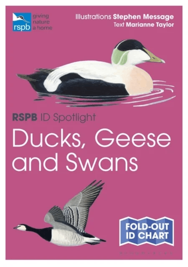 RSPB ID Spotlight - Ducks, Geese and Swans av Marianne Taylor