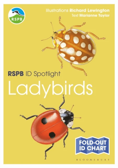 RSPB ID Spotlight - Ladybirds av Marianne Taylor