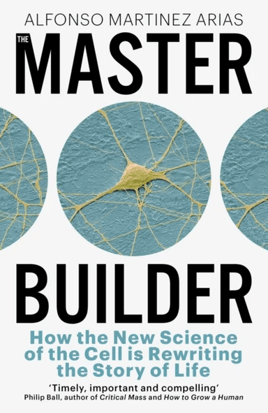 The Master Builder av Alfonso Martinez Arias