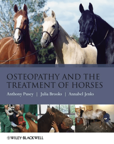 Osteopathy and the Treatment of Horses av Anthony Pusey, Julia Brooks, Annabel Jenks