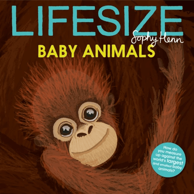 Lifesize Baby Animals av Sophy Henn
