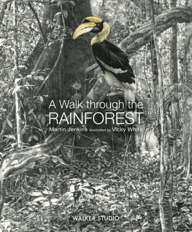 A Walk Through the Rainforest av Martin Jenkins