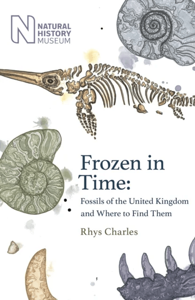 Frozen in Time av Rhys Charles