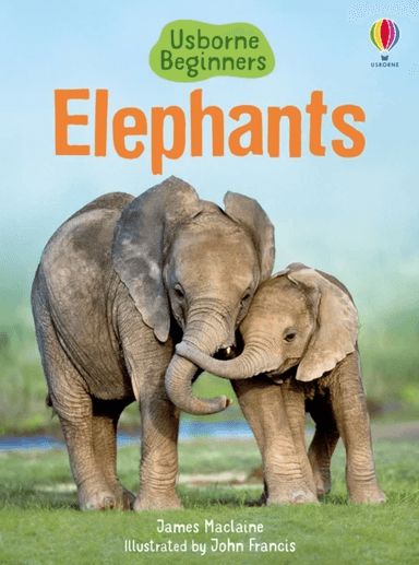 Elephants av James Maclaine