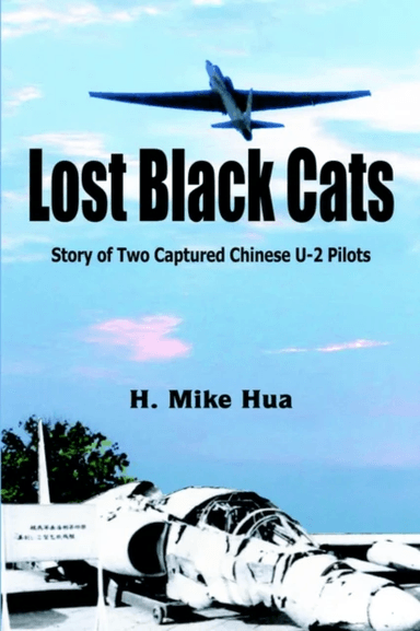Lost Black Cats av H. Mike Hua