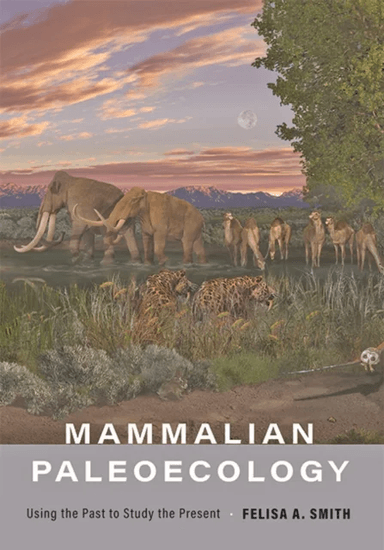 Mammalian Paleoecology av Felisa A. (Professor University of New Mexico) Smith