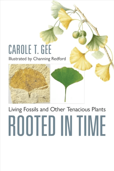 Rooted in Time av Carole T. (Associate Professor of Paleontology University of Bonn) Gee