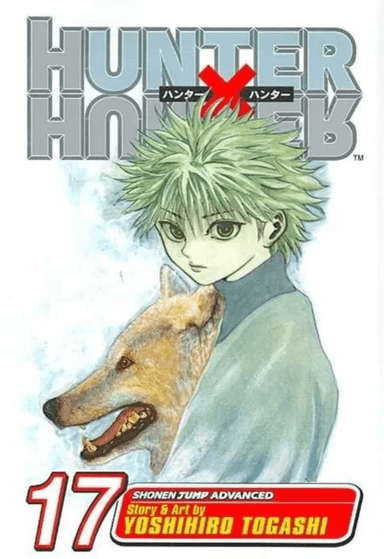 Hunter x Hunter, Vol. 17 av Yoshihiro Togashi