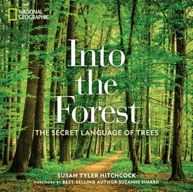 Into the Forest av Susan Tyler Hitchcock