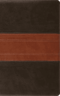 ESV Large Print Personal Size Bible, Red Letter