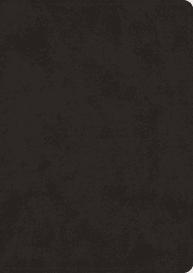 ESV Study Bible, Large Print