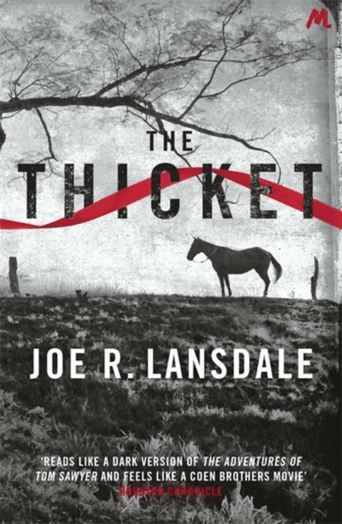 The Thicket av Joe R. Lansdale