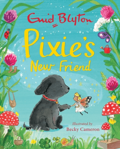 Pixie's New Friend av Enid Blyton