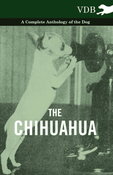 The Chihuahua - A Complete Anthology of the Dog - av Various (selected by the Federation of Children's Book Groups)
