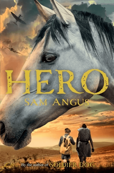 A Horse Called Hero av Sam Angus