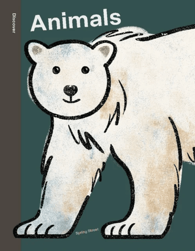 Spring Street Discover: Animals av Boxer Books