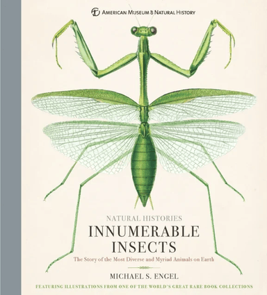 Innumerable Insects av Michael S. Engel