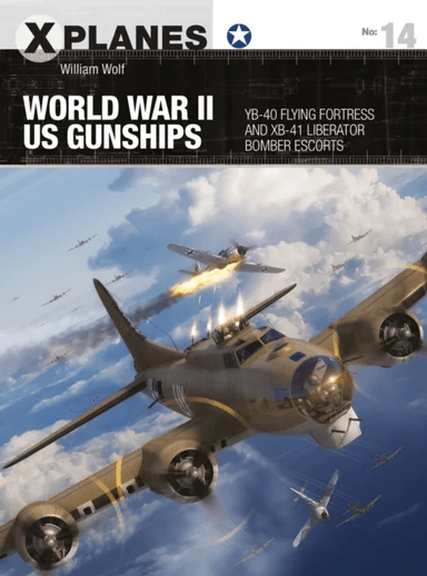 World War II US Gunships av Dr William Wolf