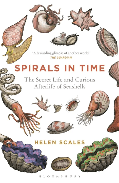 Spirals in Time av Helen Scales