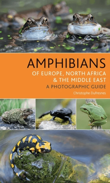 Amphibians of Europe, North Africa and the Middle East av Christophe Dufresnes