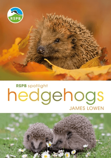RSPB Spotlight Hedgehogs av James Lowen