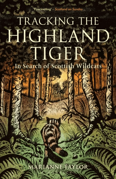 Tracking The Highland Tiger av Marianne Taylor