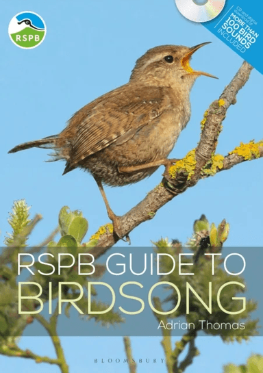 RSPB Guide to Birdsong av Adrian Thomas