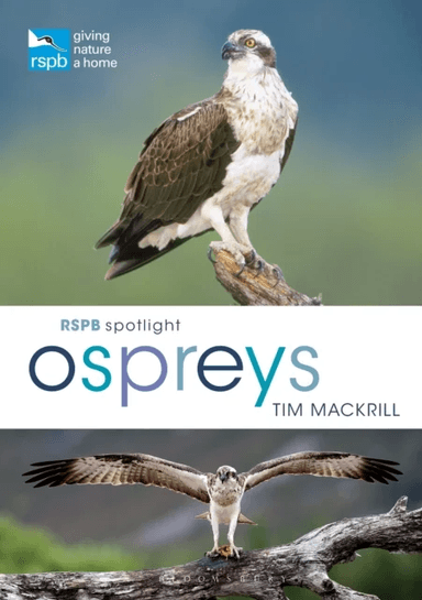 RSPB Spotlight Ospreys av Tim (Author) Mackrill