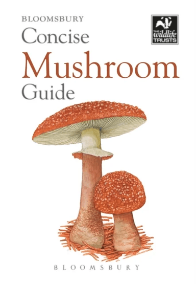 Concise Mushroom Guide av Bloomsbury