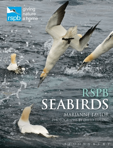 RSPB Seabirds av Marianne Taylor
