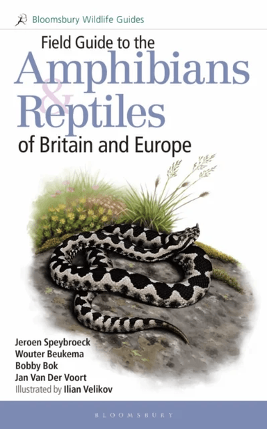 Field Guide to the Amphibians and Reptiles of Britain and Europe av Jeroen Speybroeck, Wouter Beukema, Bobby Bok, Jan Van Der Voort