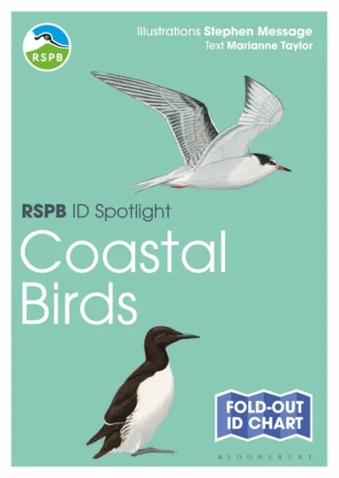 RSPB ID Spotlight - Coastal Birds av Marianne Taylor