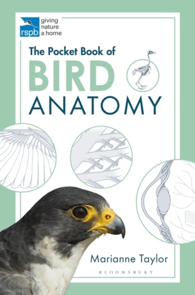 The Pocket Book of Bird Anatomy av Marianne Taylor