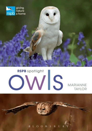 RSPB Spotlight Owls av Marianne Taylor