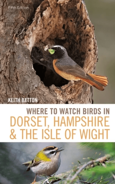 Where to Watch Birds in Dorset, Hampshire and the Isle of Wight av Keith Betton