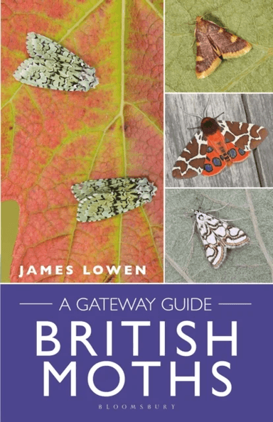 British Moths av James Lowen