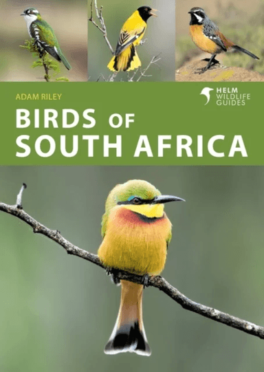 Birds of South Africa av Adam Riley