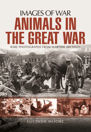 Animals in the Great War av Lucinda Moore