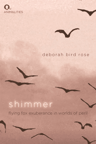 Shimmer av Deborah Bird Rose