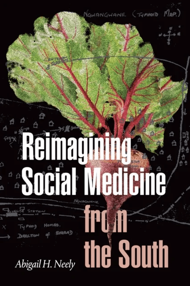 Reimagining Social Medicine from the South av Abigail H. Neely