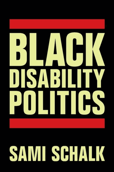 Black Disability Politics av Sami Schalk