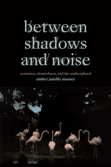 Between Shadows and Noise av Amber Jamilla Musser