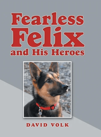 Fearless Felix and His Heroes av David Volk