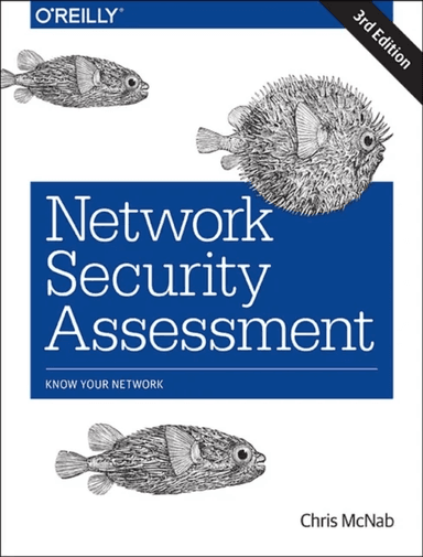 Network Security Assessment 3e av Chris McNab