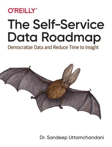 The Self-Service Data Roadmap av Sandeep Uttamchandani