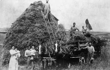 Mrs. Cook and the Klan av Tom Chorneau